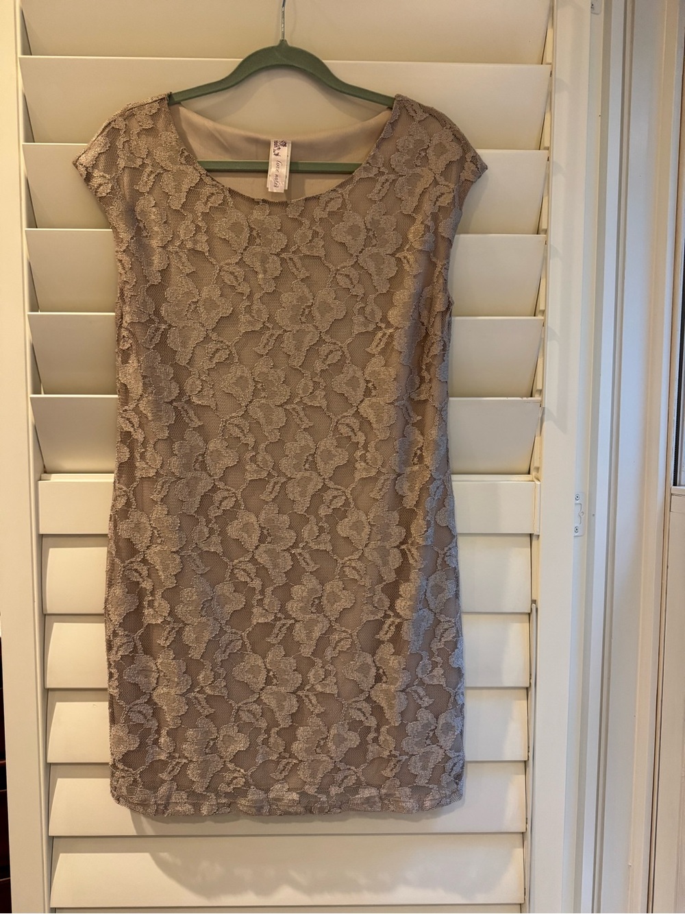Love Notes Taupe Lace Sheath Dress